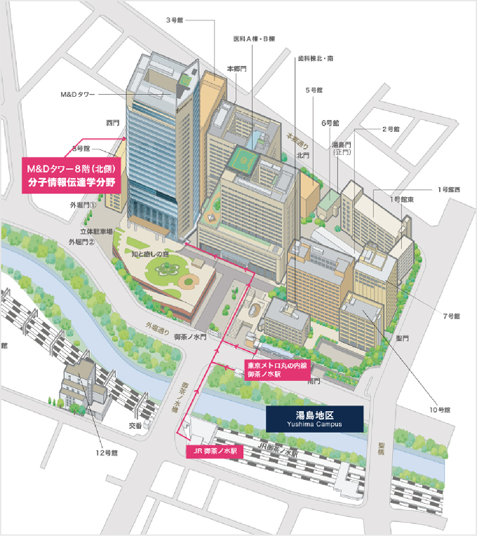 アクセス 東京医科歯科大学分子情報伝達学分野